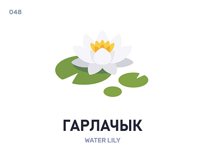 Гарлáчык / Water lily belarus belarusian language daily flat flower icon illustration vector