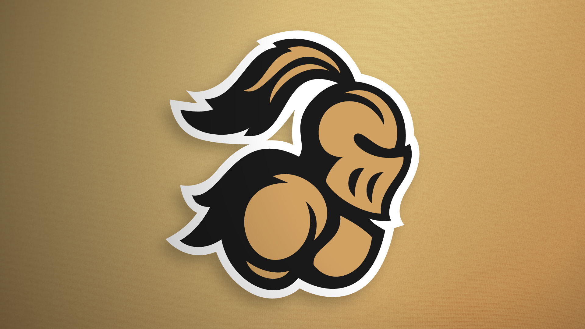 Knight Mascot Sports Logo // Cassel