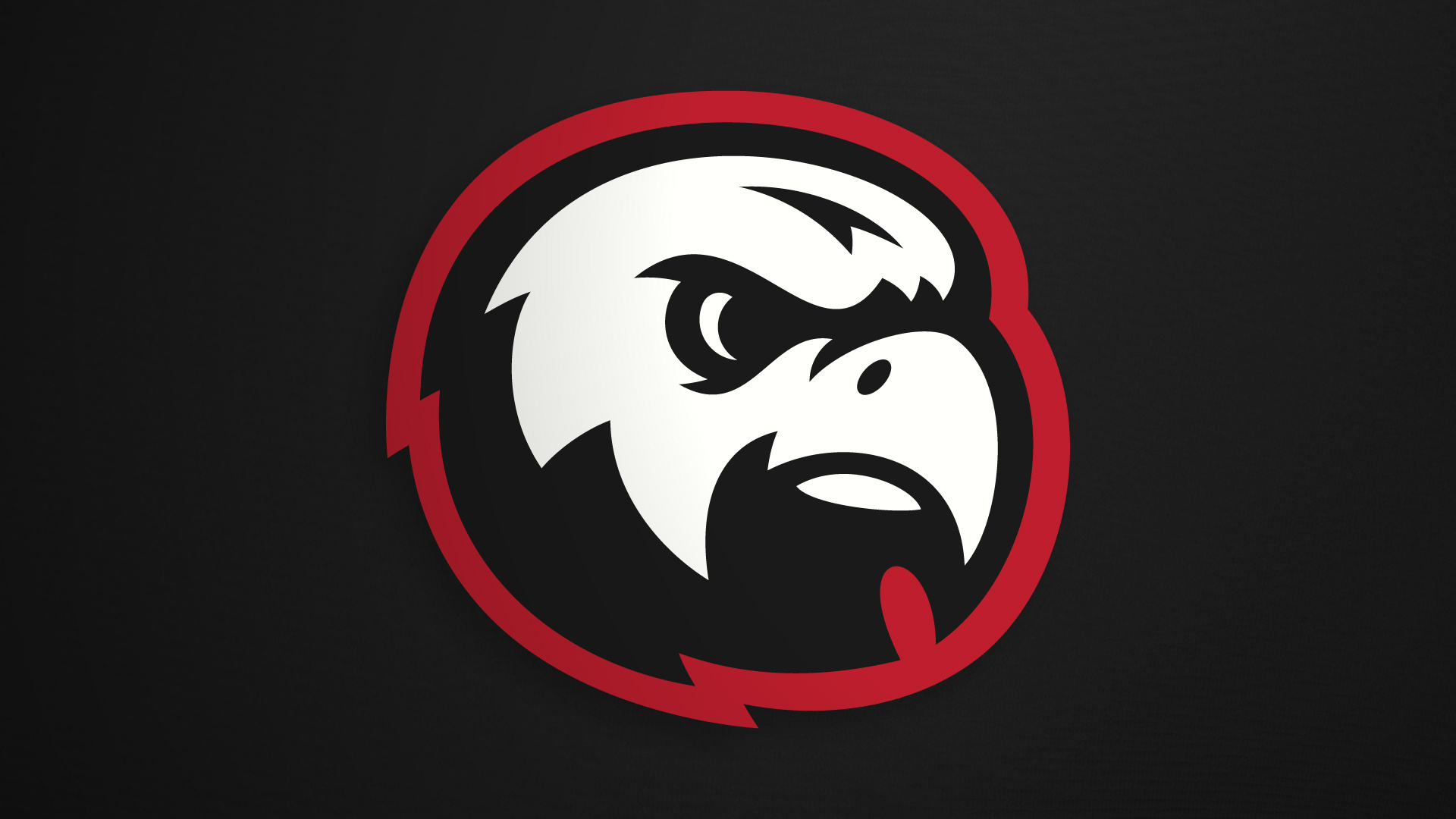 Hawk Mascot Sports Logo // Wren