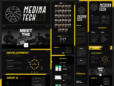 Medina Tech Ltd. Website design ui ux website