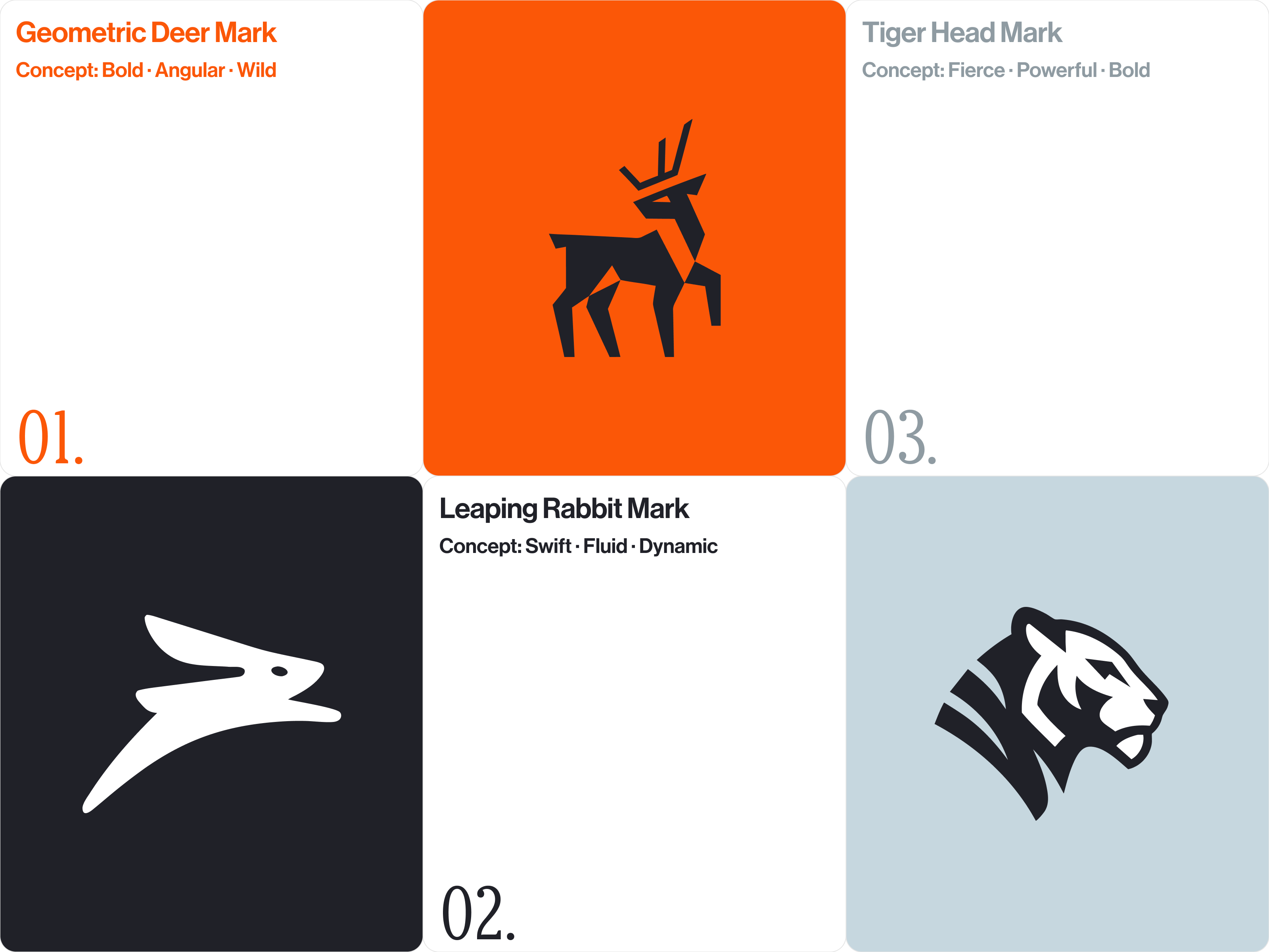 Example of Exclusive Logo Design Package