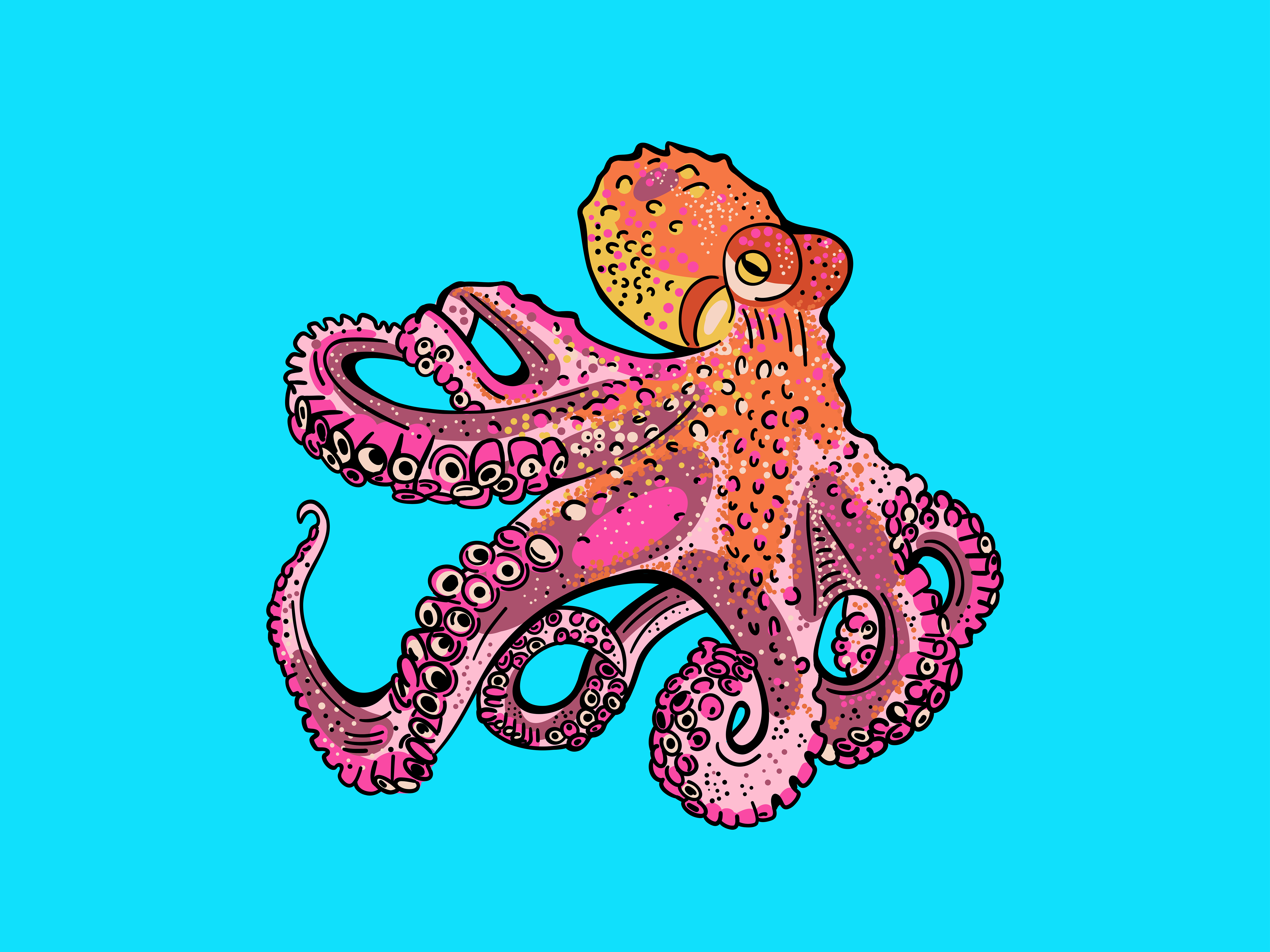 Octopus Illustration adobe animal color creature design drawing fresco hand drawn illustration illustration art illustrator kraken line art octopus swim tentacles vector vector art vector illustration