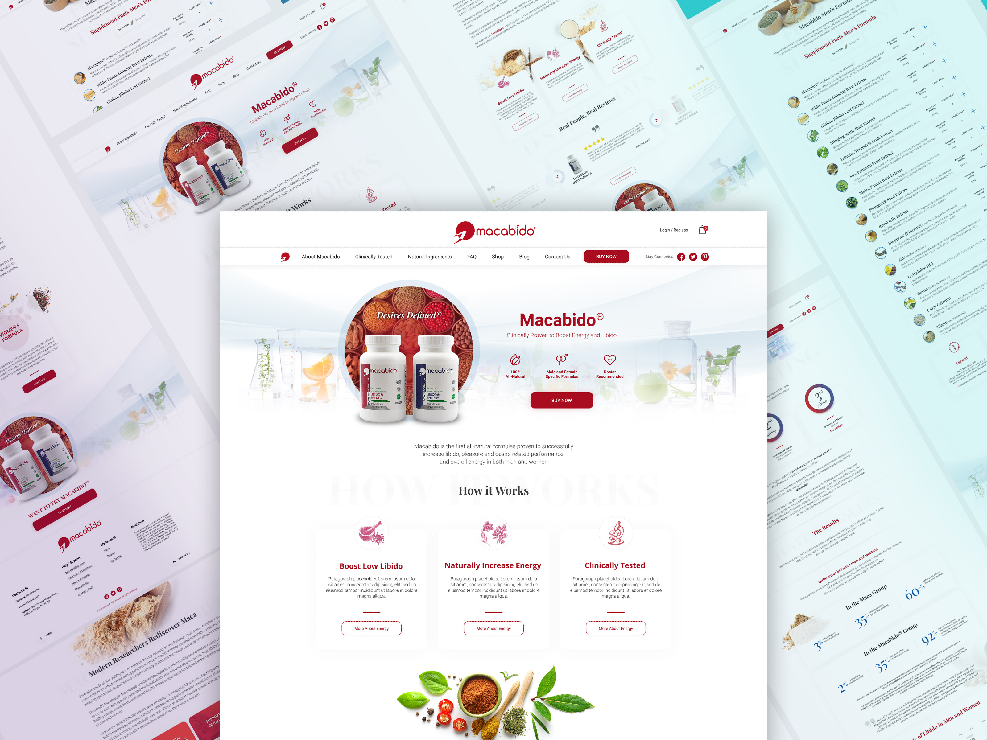 Example of Custom Website Design And Development