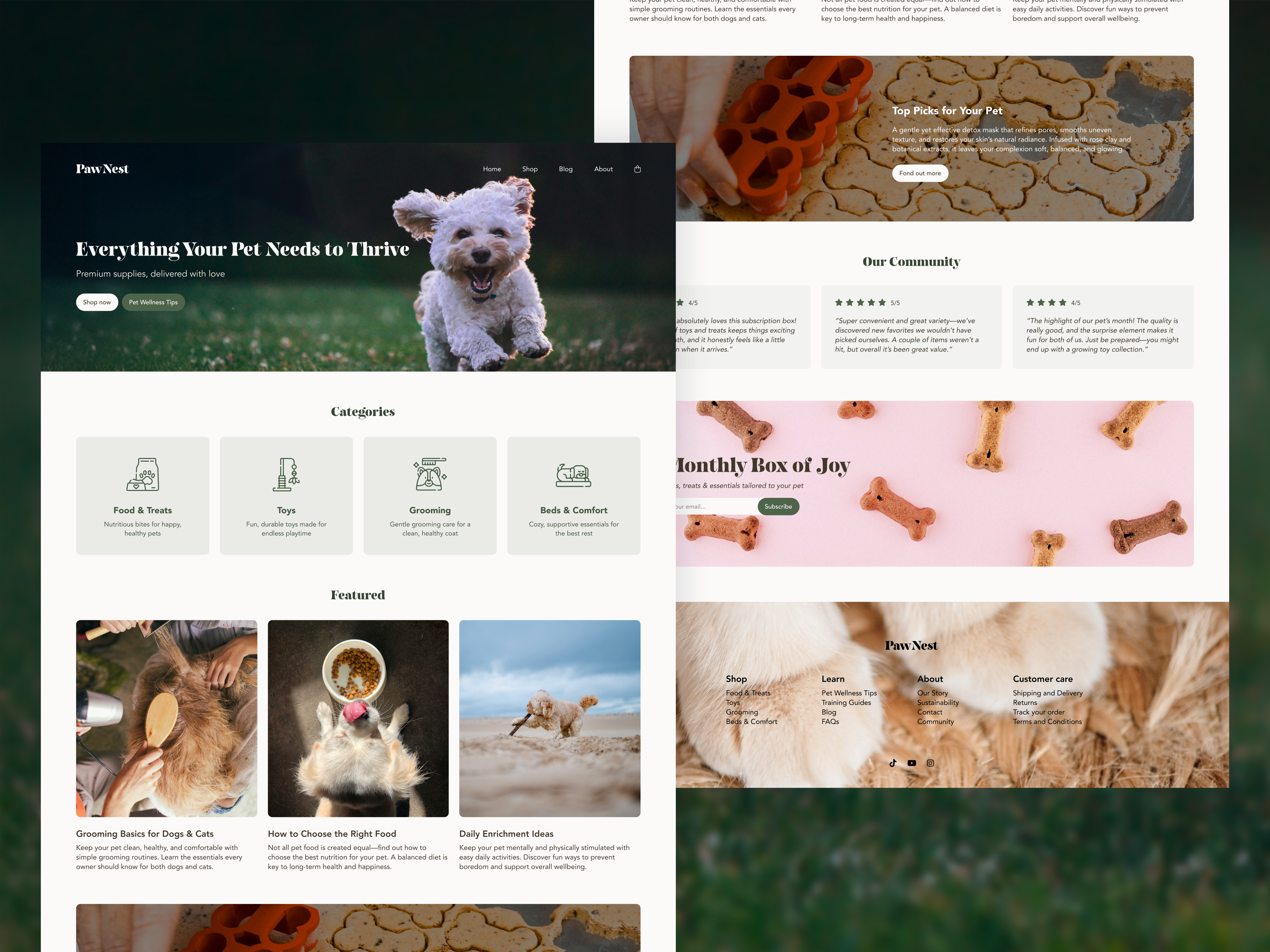 Example of Landing Page Design for a Premium Pet Care E-Commerce
