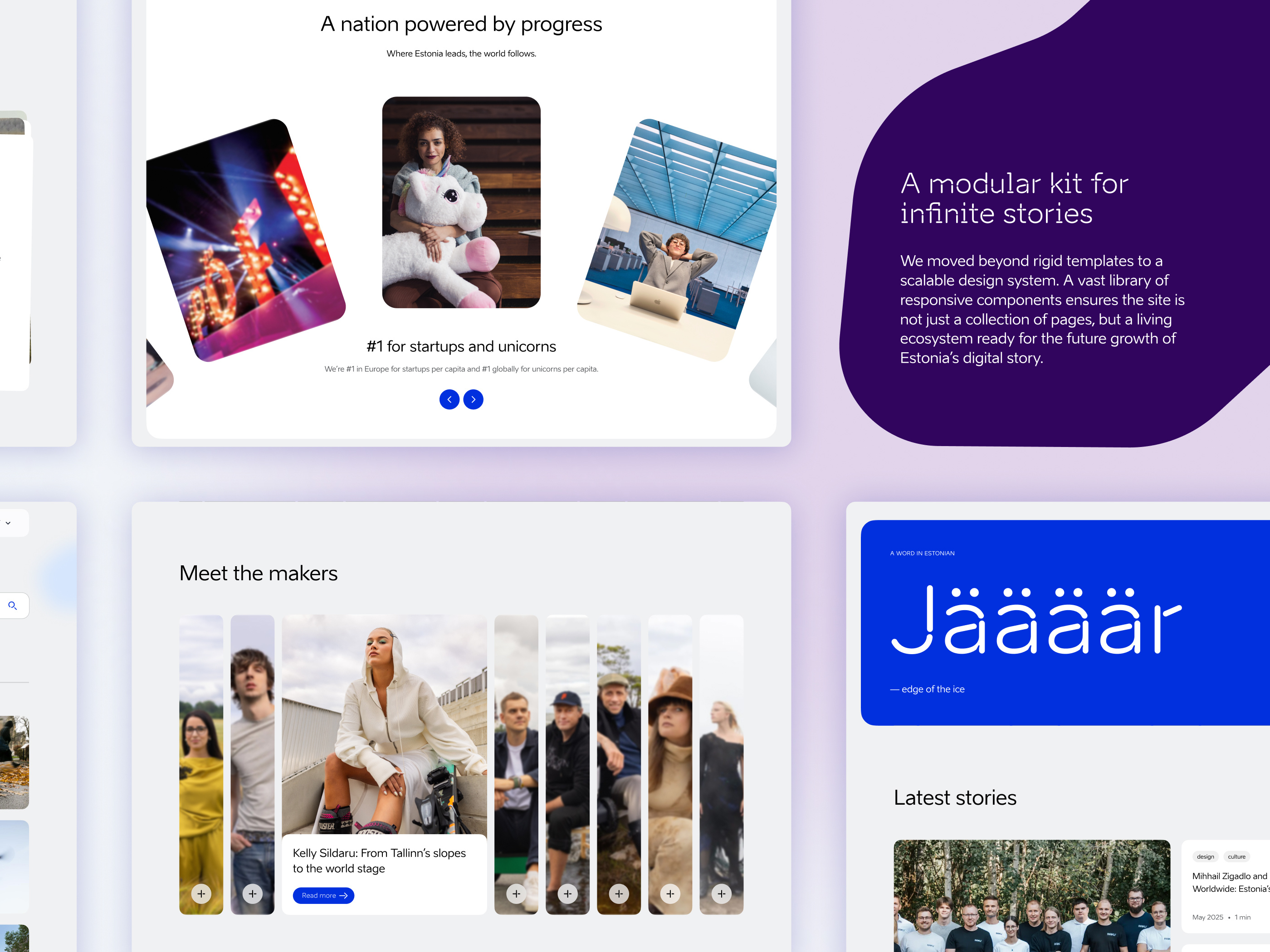 Example of Website for Estonia