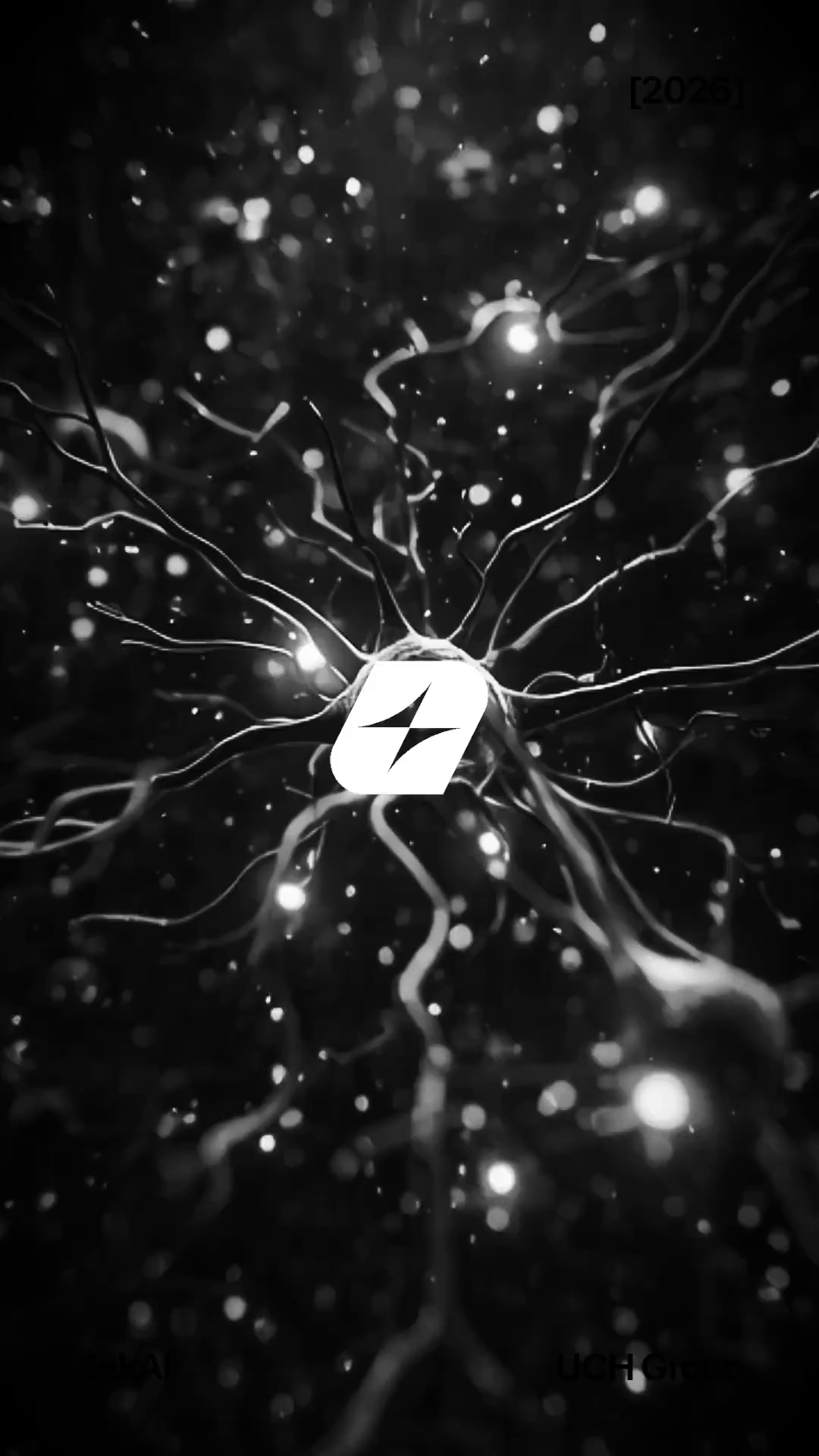 ZekAI Branding visuals