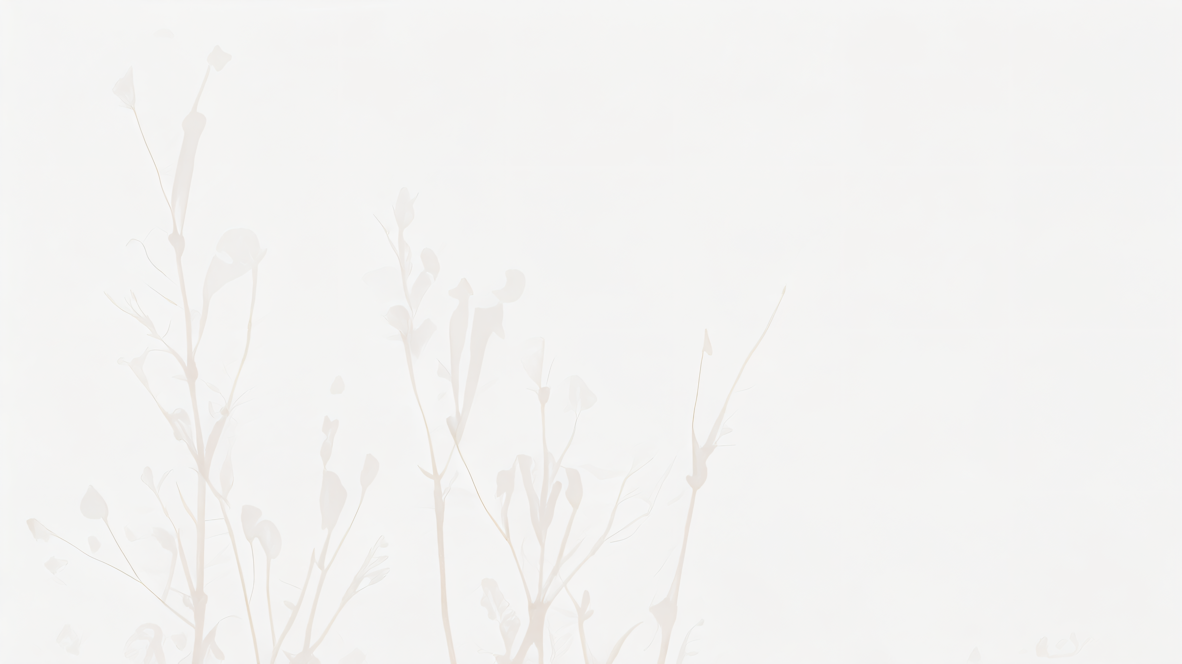 Faint Flora.