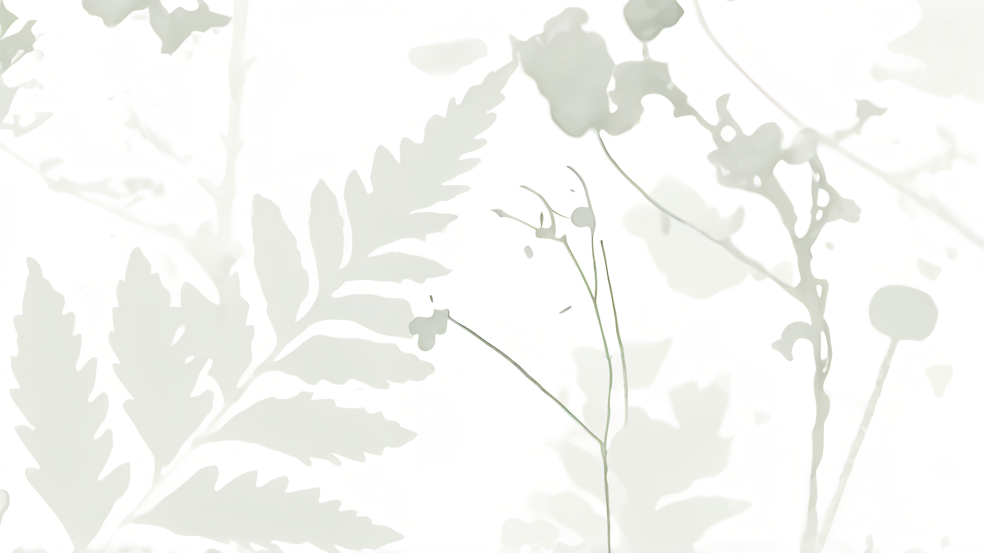 Echos of Flora