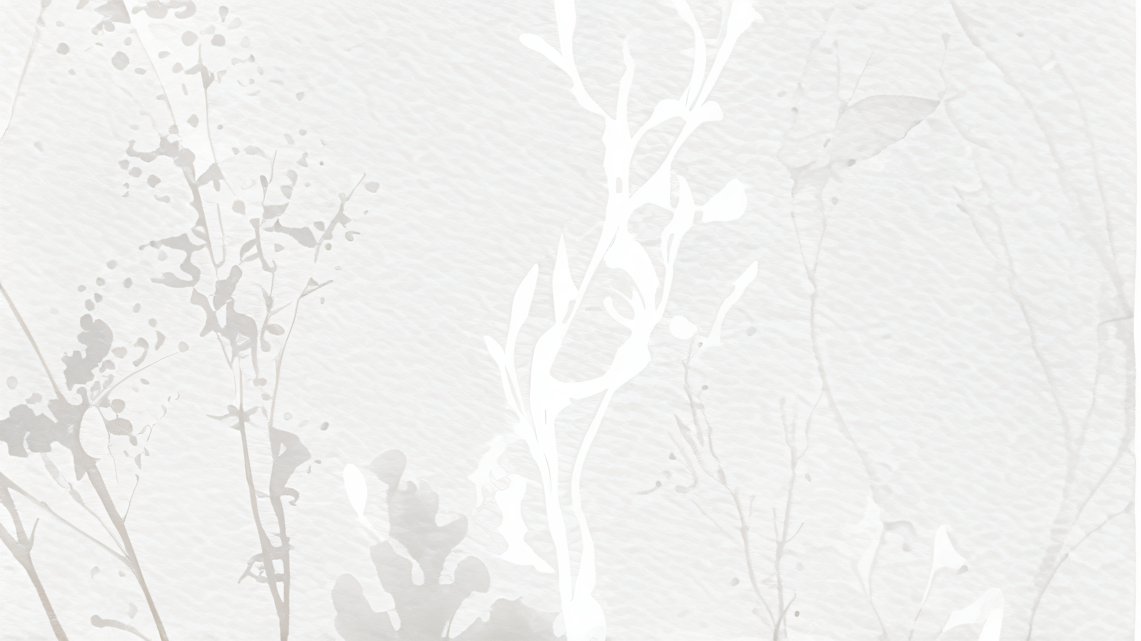 background design