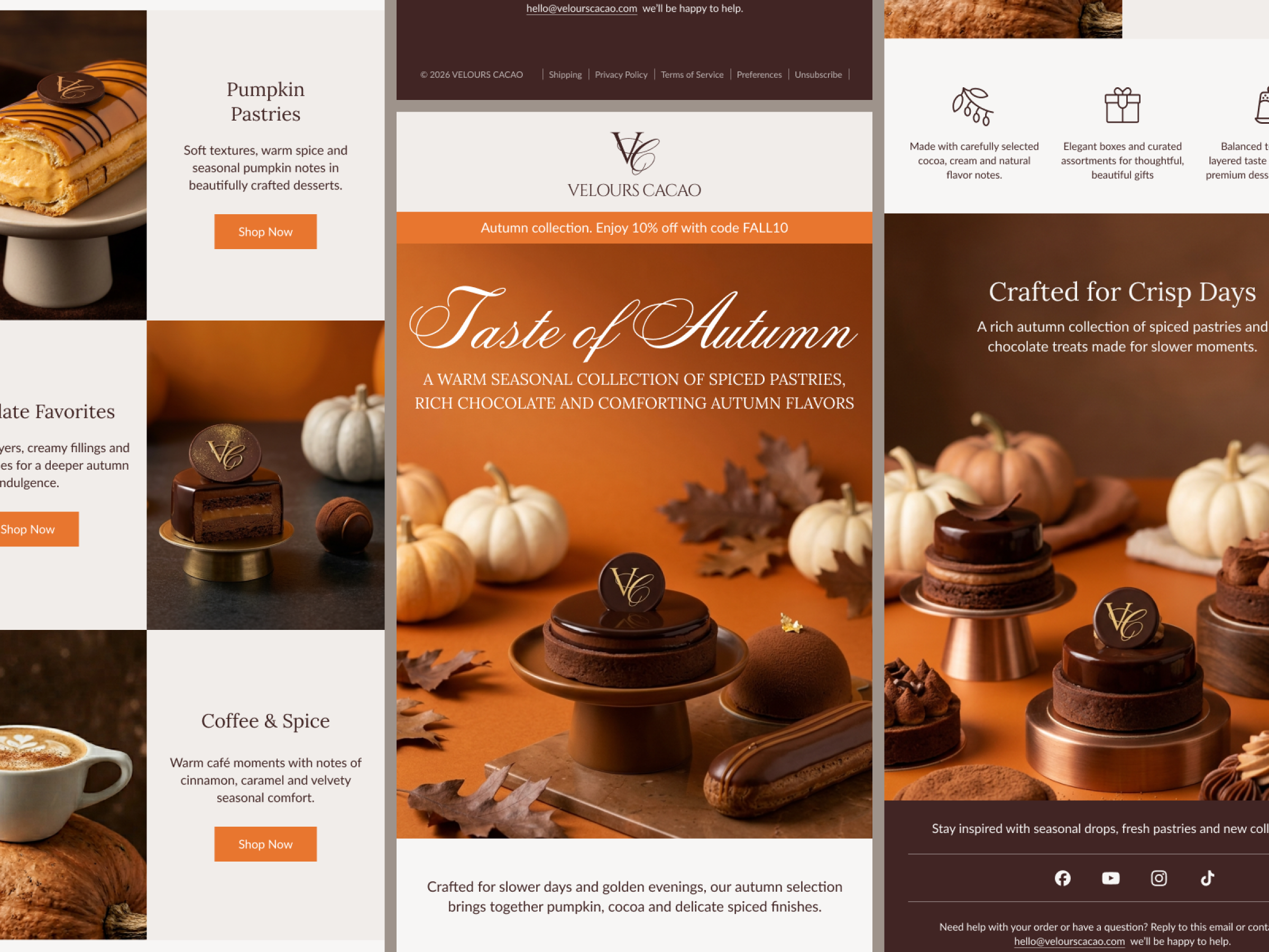 Example of Email Campaign Design 
