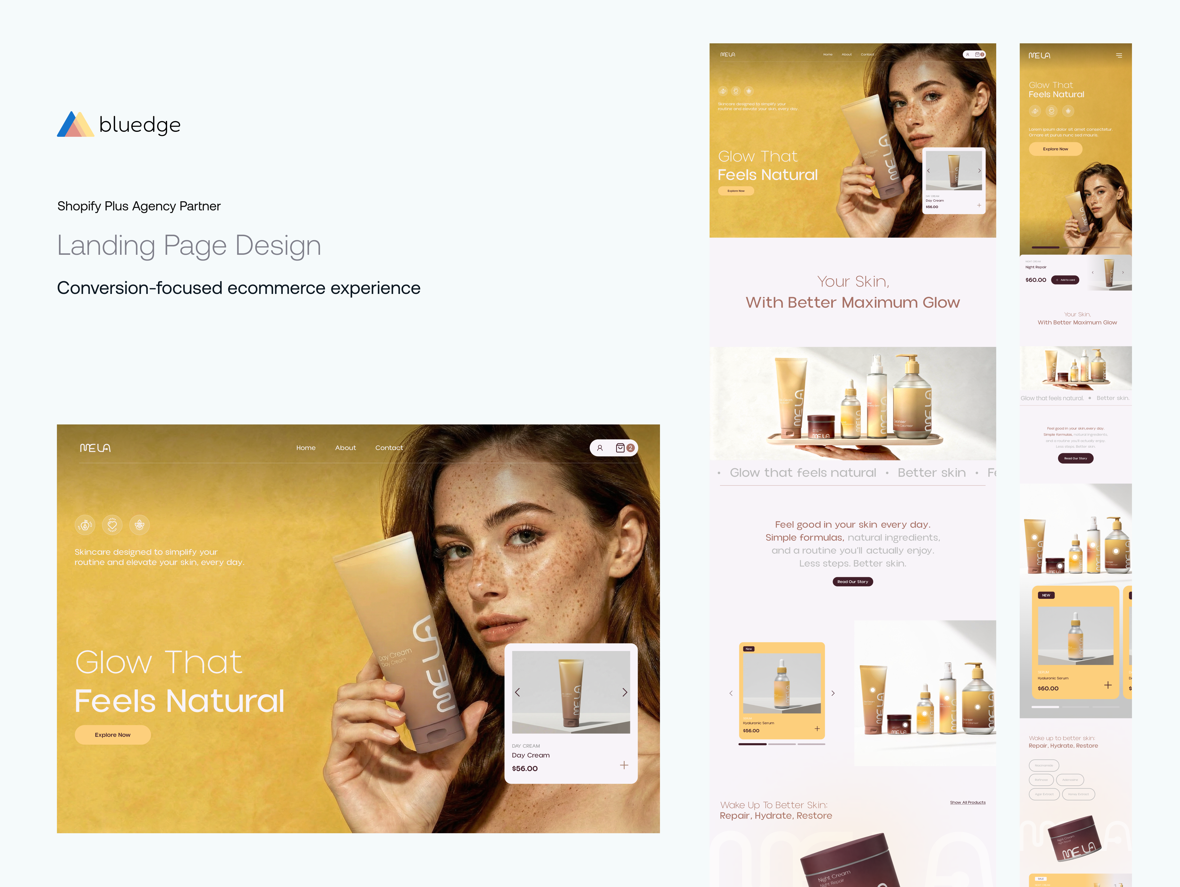 Example of Homepage & Spacial Collection Design