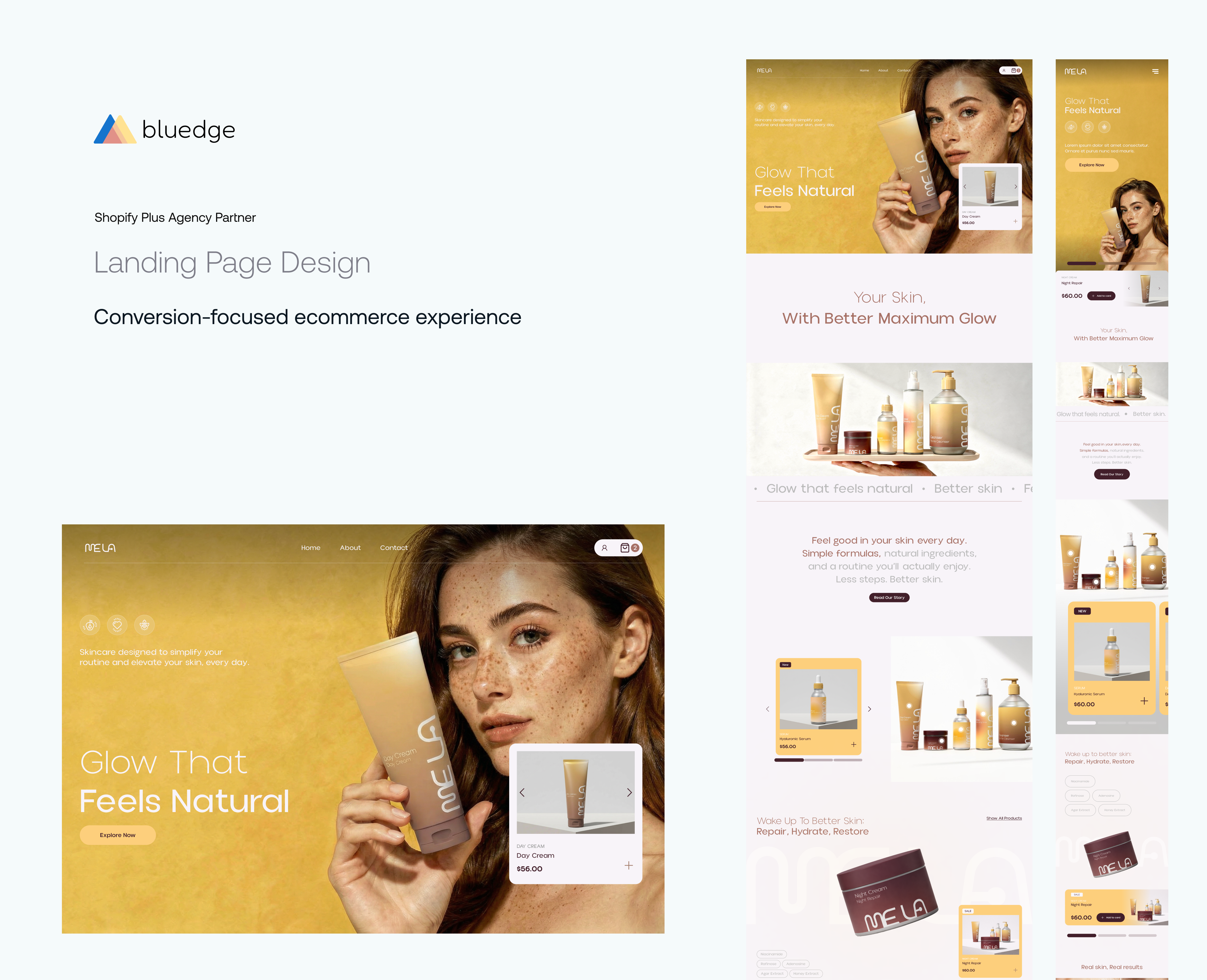Example of Homepage & Spacial Collection Design