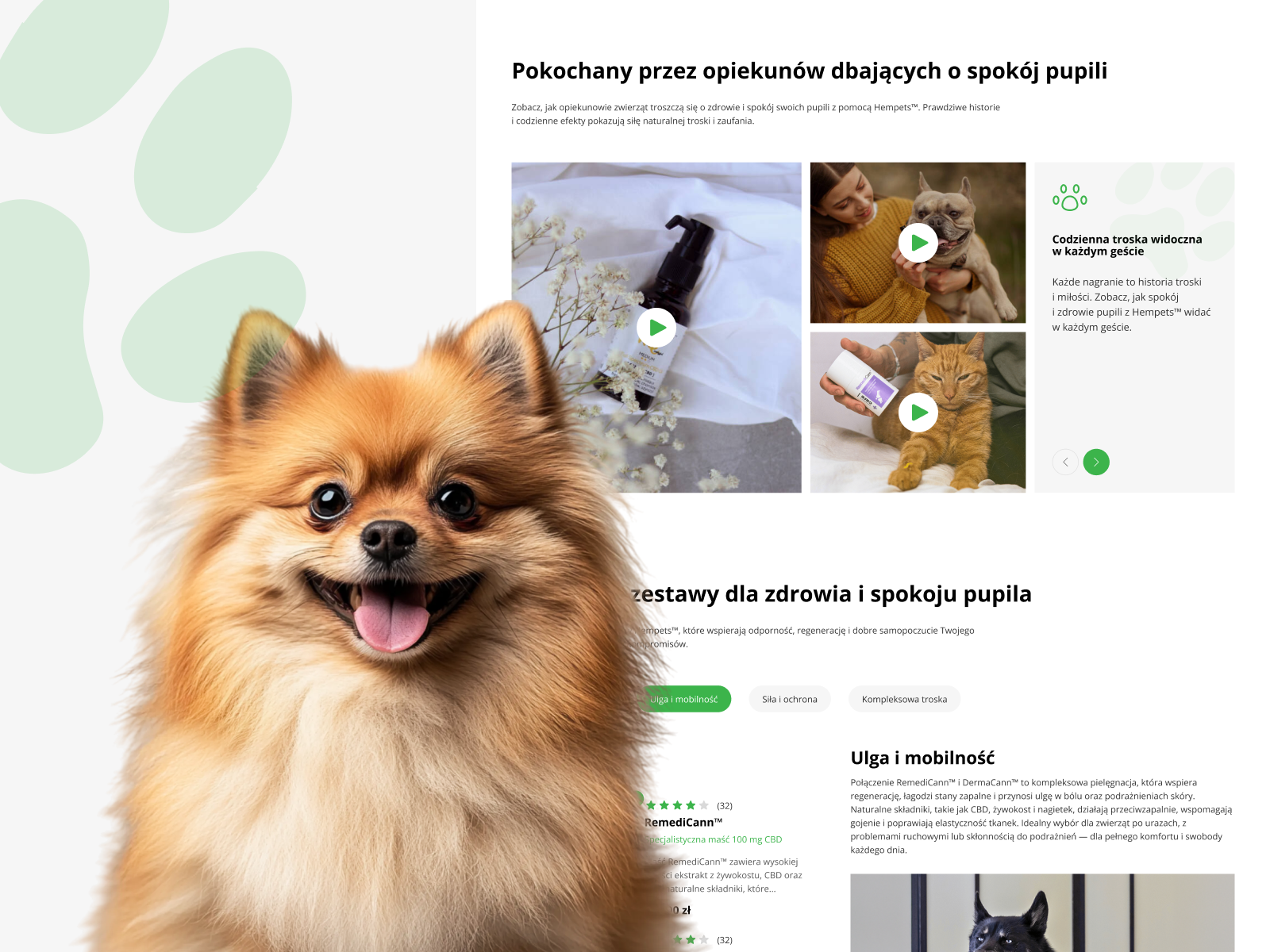 Hempets | Pet Care Ecommerce Website Design graphic design petfoods pets ui ux web webdesign