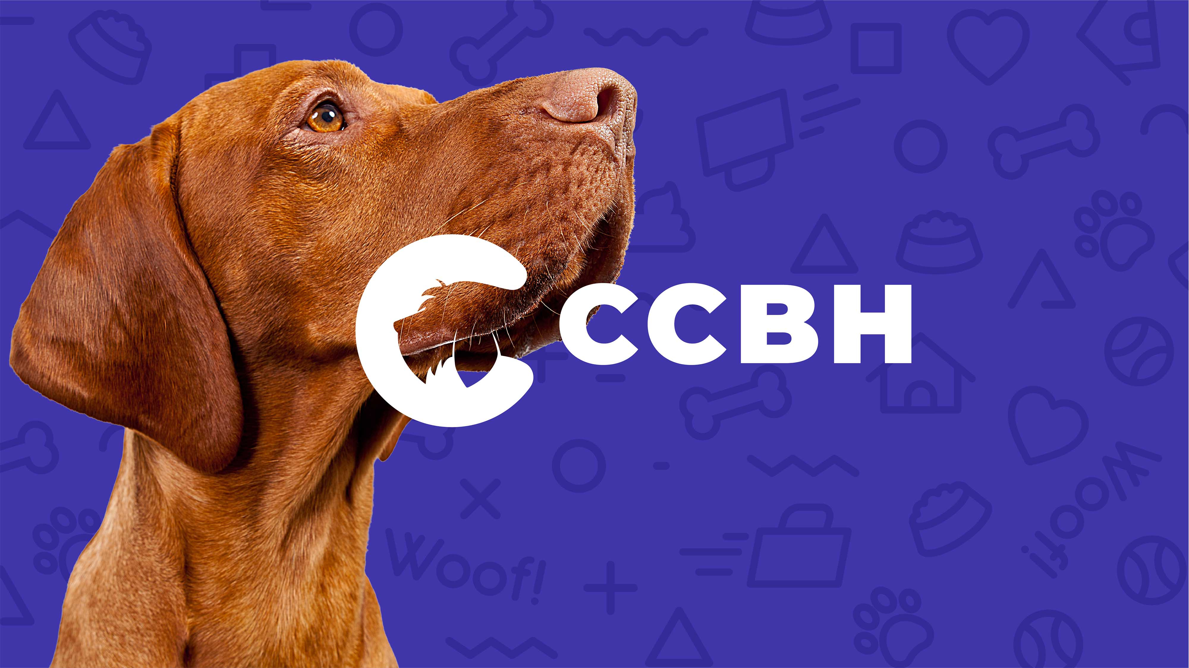 Veterinary Brand Identity & Logo Design