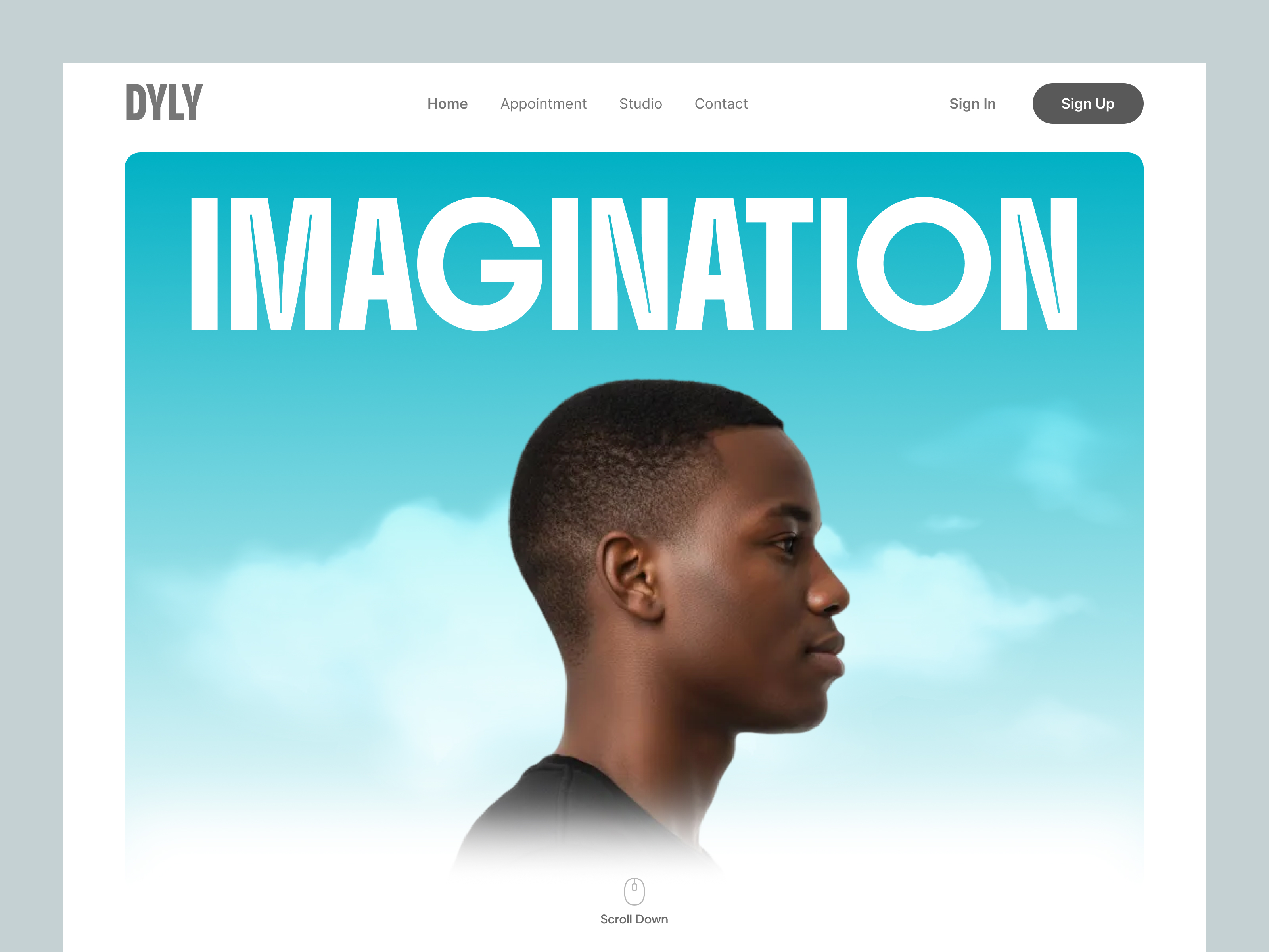 Example of Website hero section design