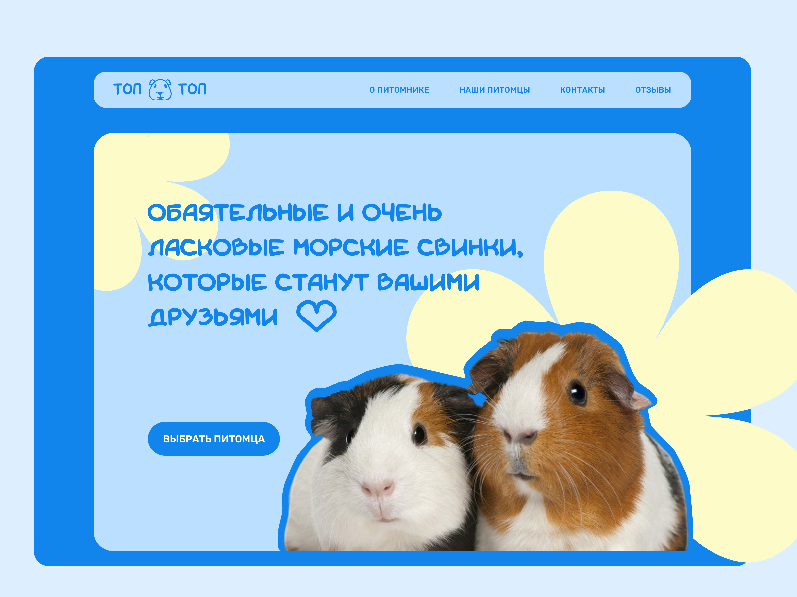 Concept of the first screen