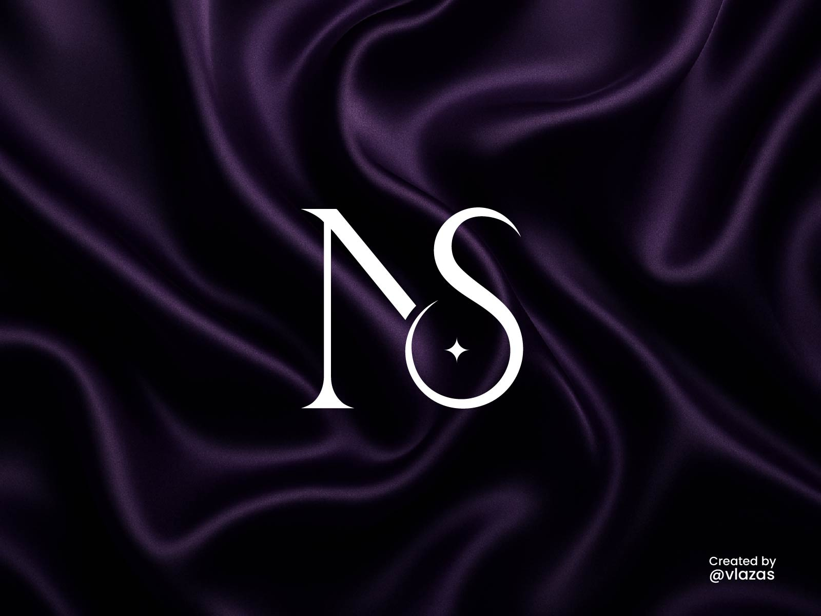 Luxury NS Monogram Logo