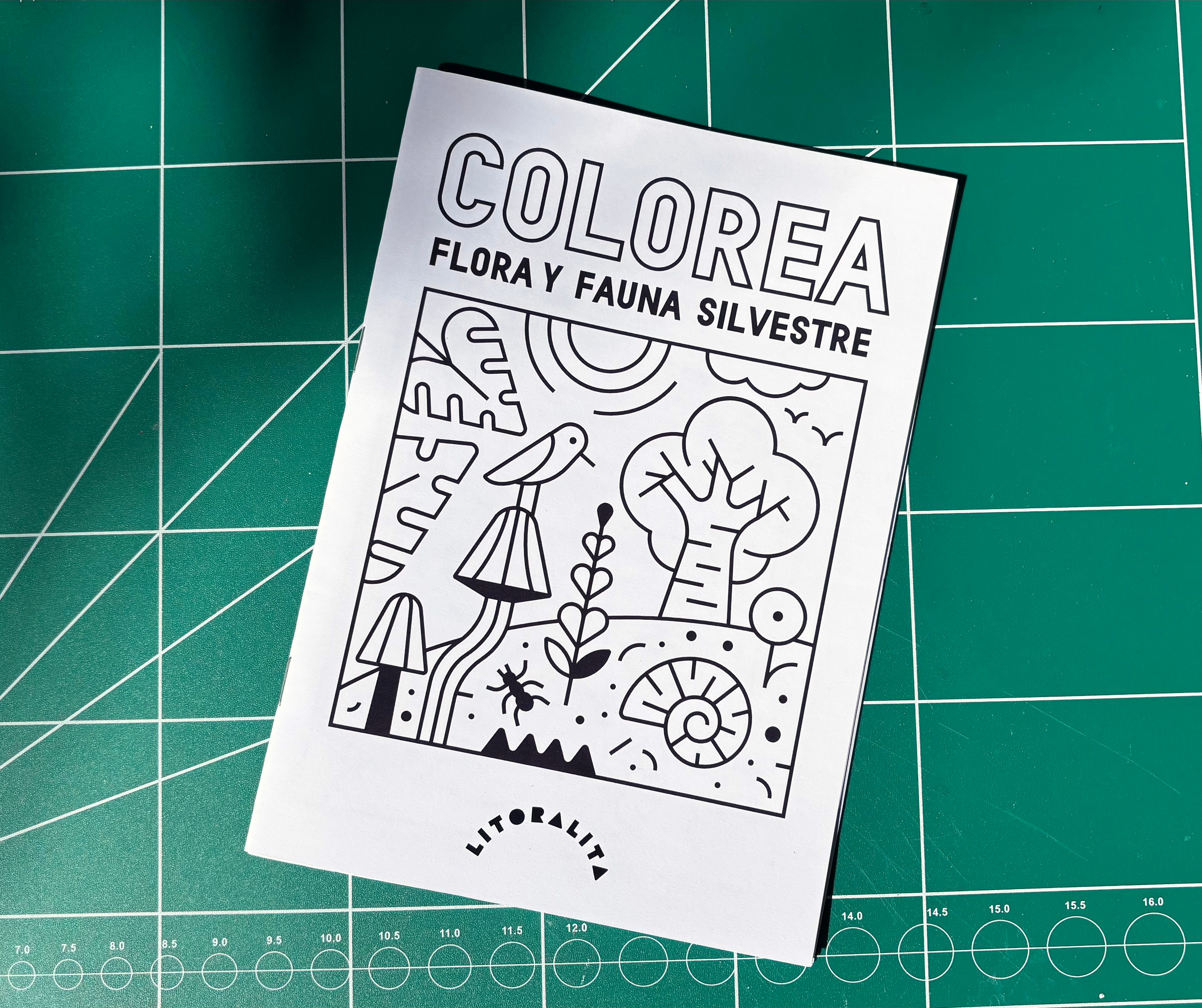 COLOREA / Litoralita