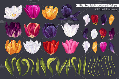 Big Tulips Set ai bloom blossom botanical collection design digitalart flora flower hand drawing netherlands realistic set surface design tulip tulip flower tulip pattern vector