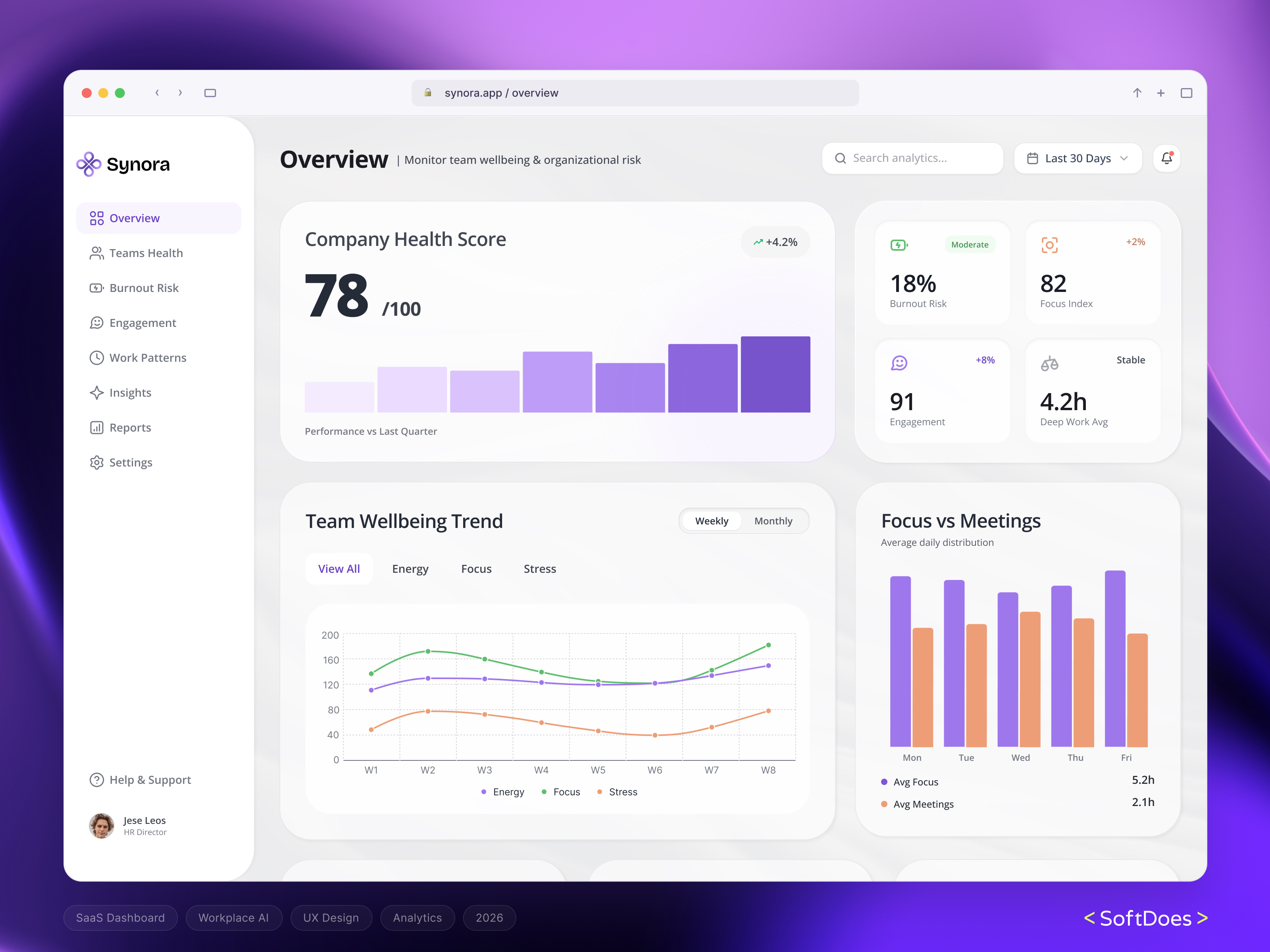 AI SaaS Dashboard Design for Data Insights, Synora