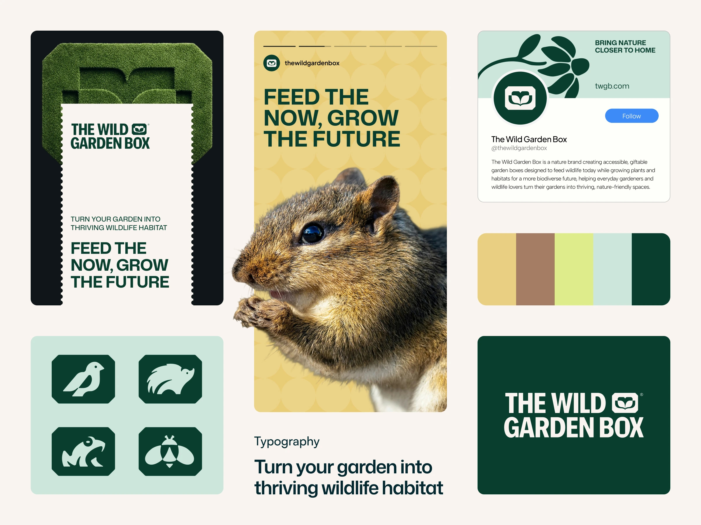 🌿 Brand Identity for The Wild Garden Box brand designer brand identity branding design graphic design logo logo design ui