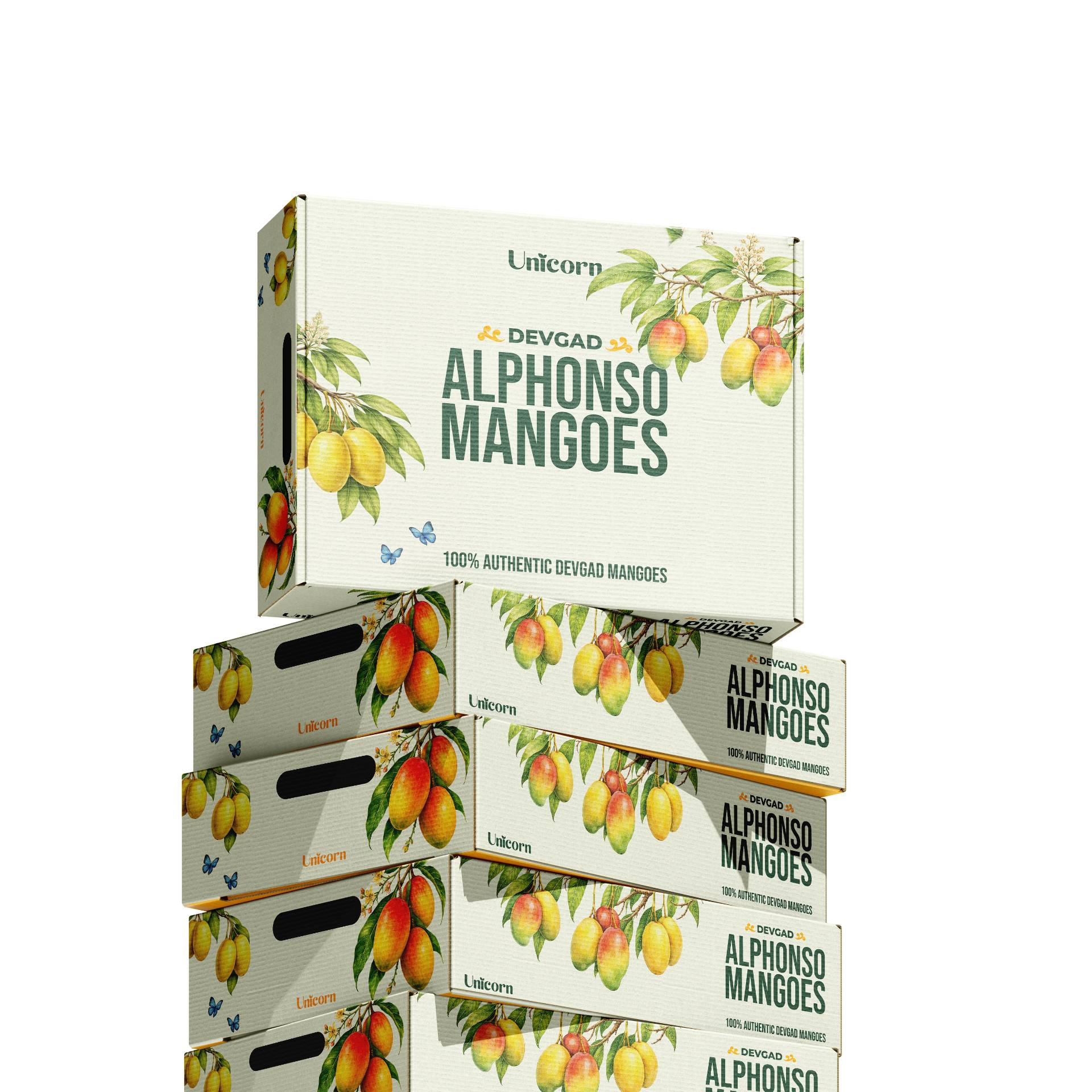 Example of Full Packaging Design + Branding Service