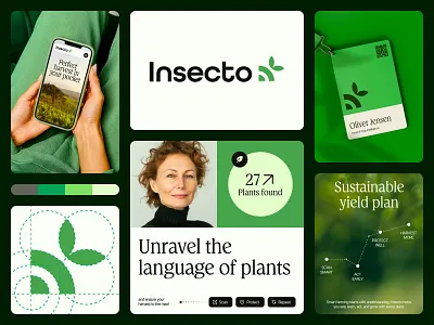 Branding - Insecto branding design graphic design logo