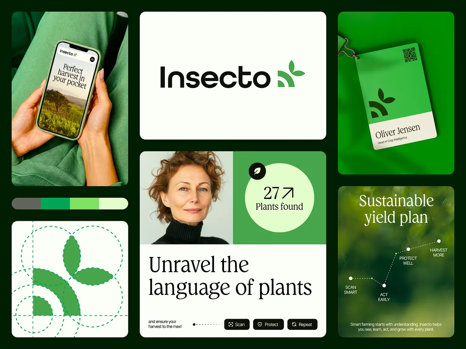 Branding - Insecto