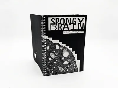 Spongy Brain book book design publication publication design