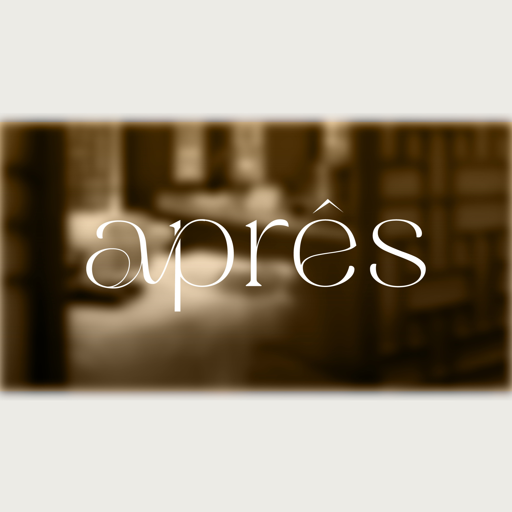 Example of Custom Wordmark And Logo Package
