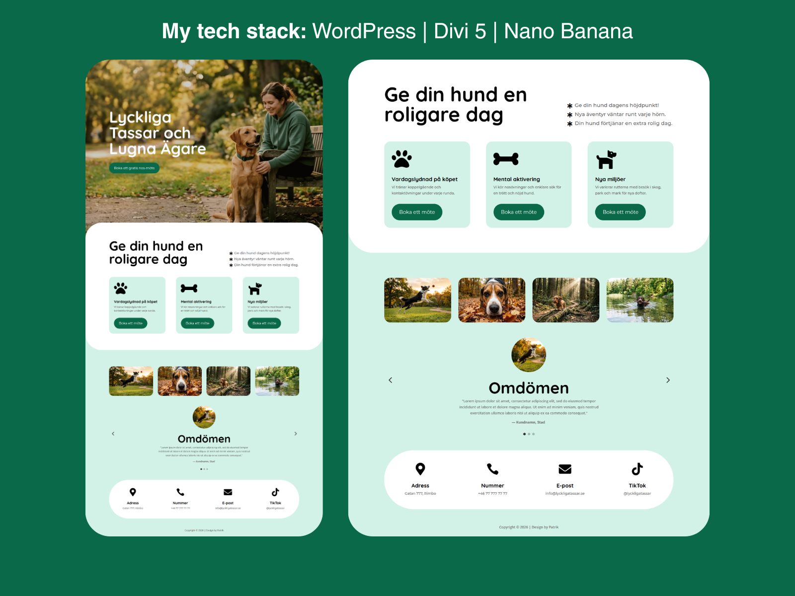 Lyckliga Tassar – Pet Care Web Design 🐾