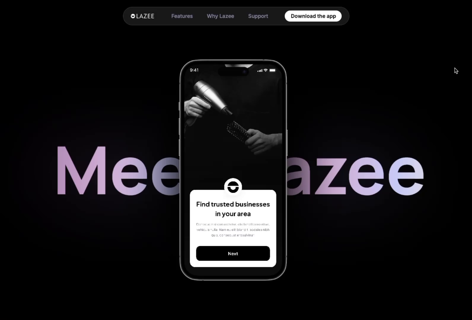 Example of Landing Page Design & Developement
