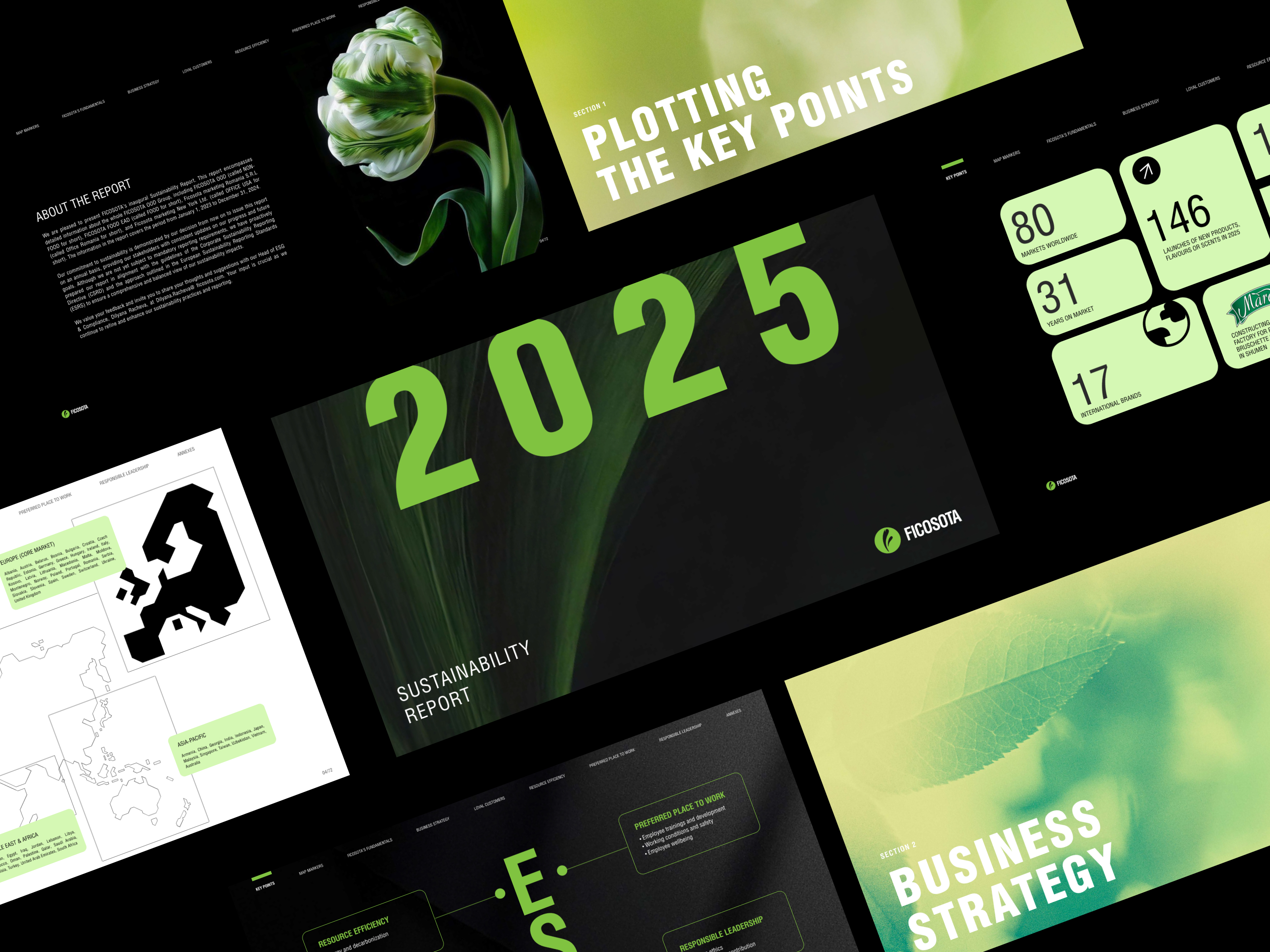 Example of FICOSOTA: Sustainability report design