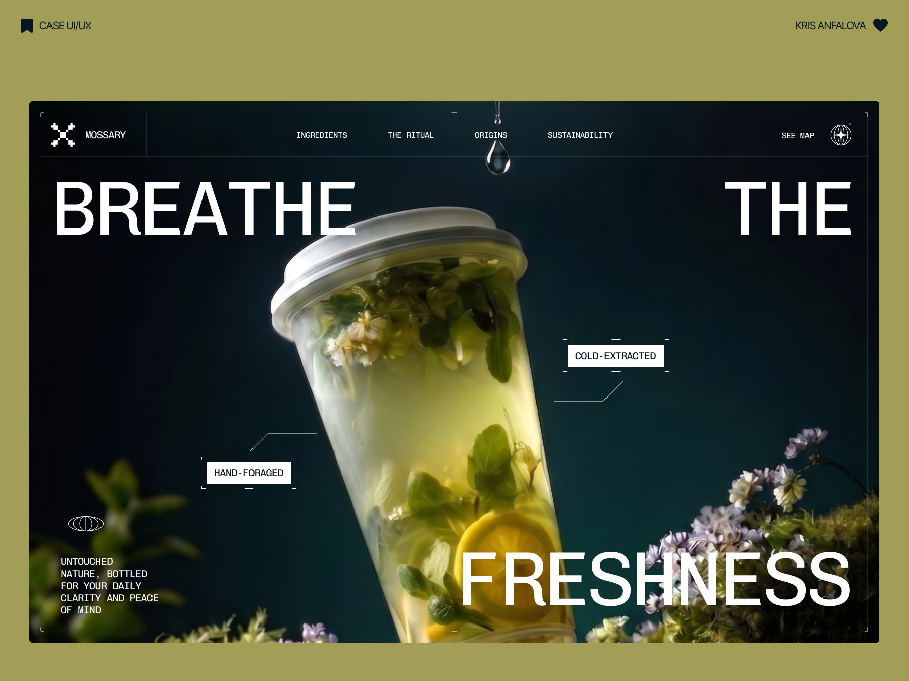 Example of High End "Awwwards Style" Web Design