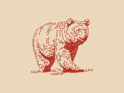 Grizzly Bear animal bear biege black bear brushes etched forest illustration linework modern nature one color one colour polar red retro simple vintage wild wood