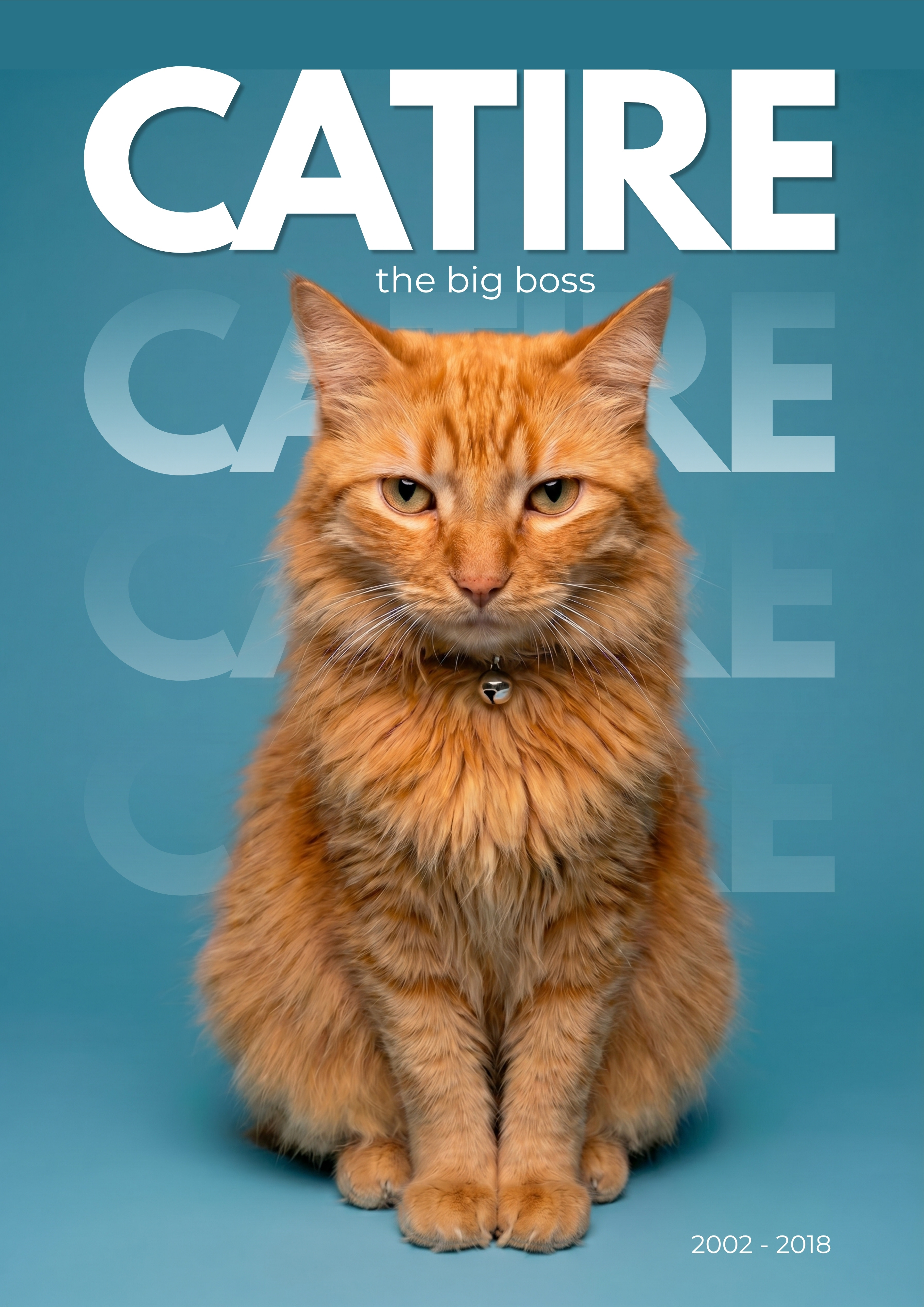My Cat "Catire" best friend - 2002/2018