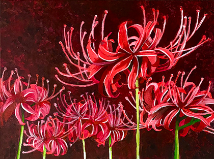 Red Spider Lily