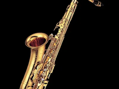 Sax Dog & Girl animation art autumn dance dog girl graphic design motion graphics sax