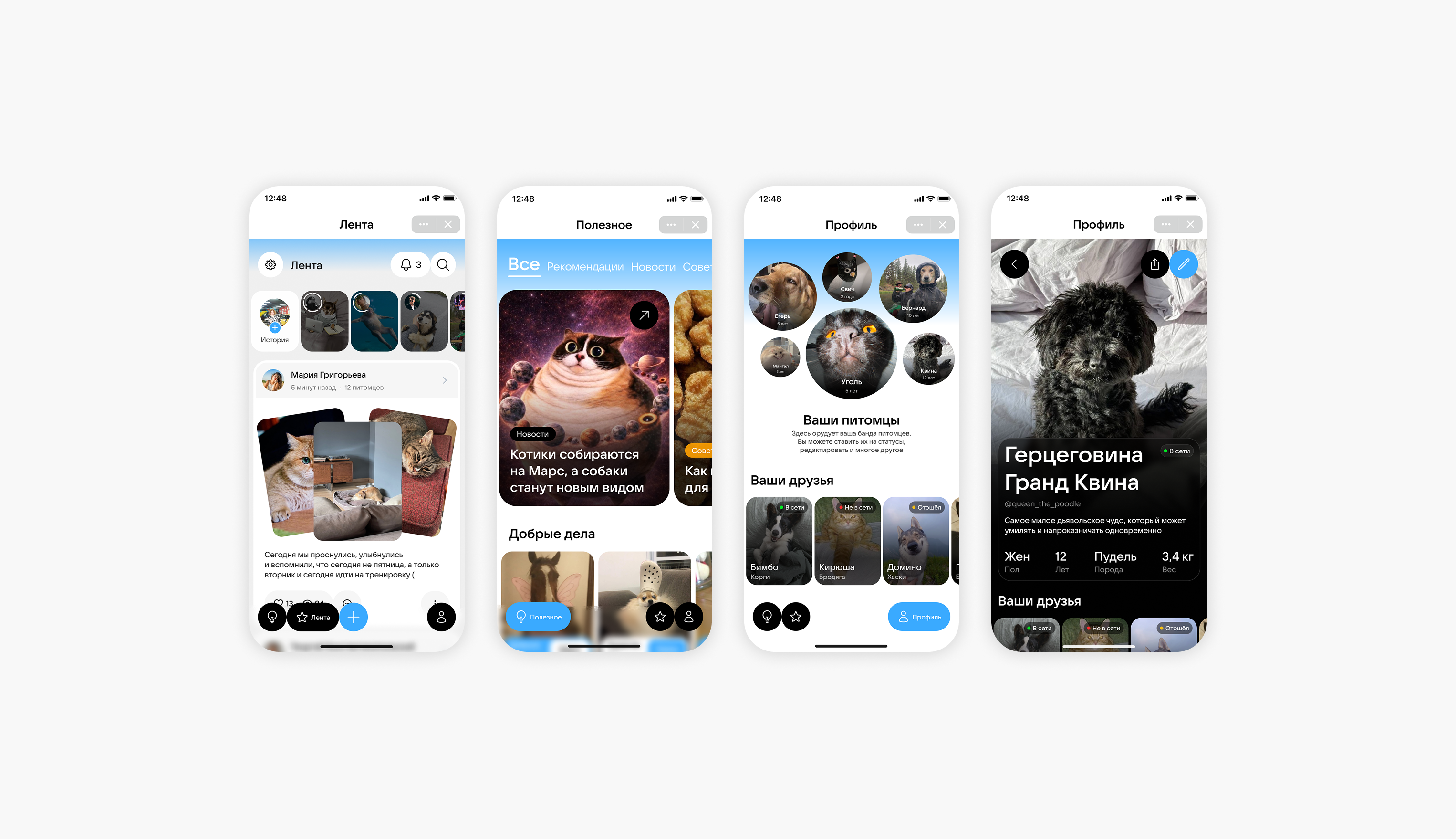 My pets mini app