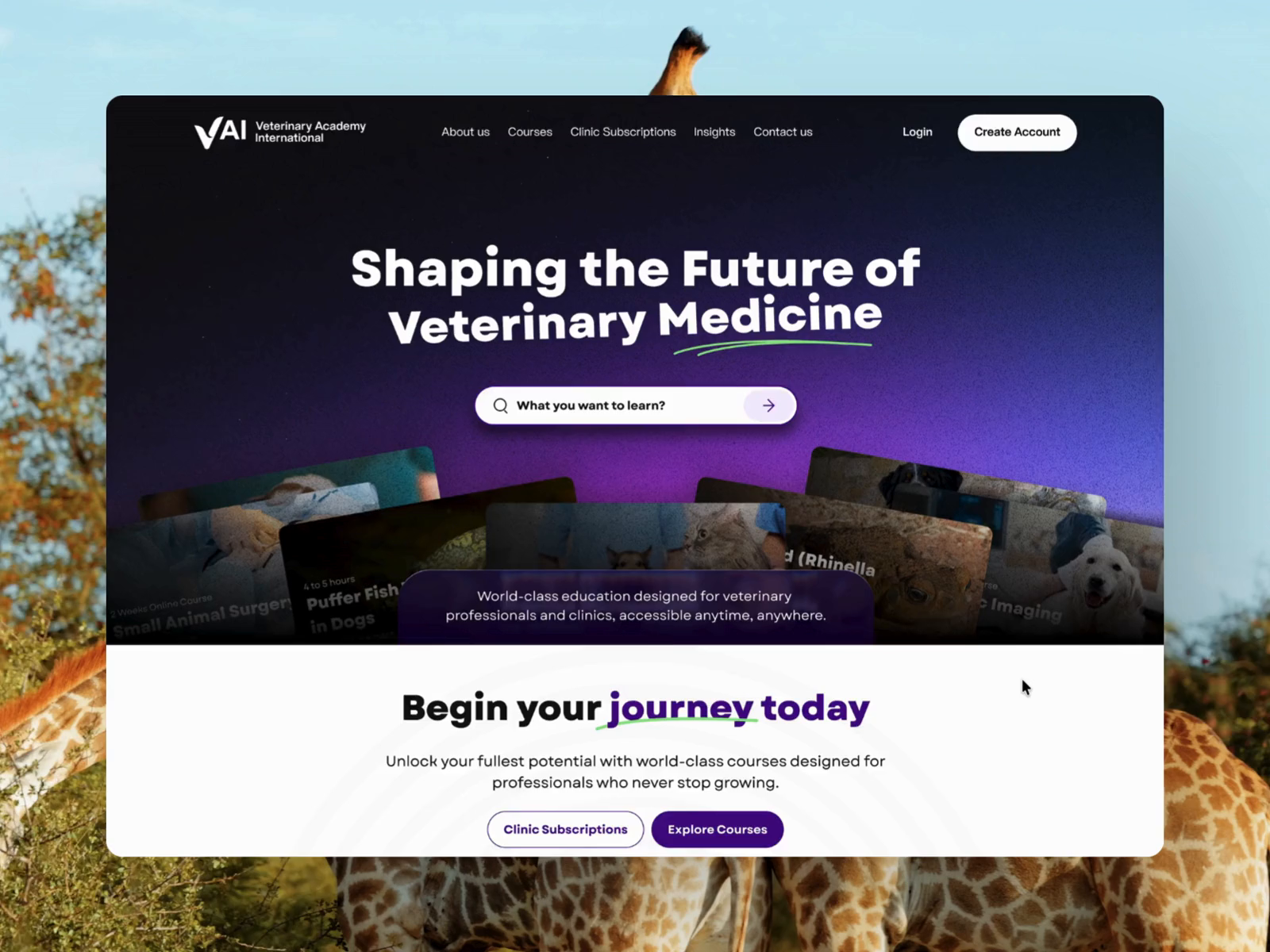 Example of Framer Website Design & Development