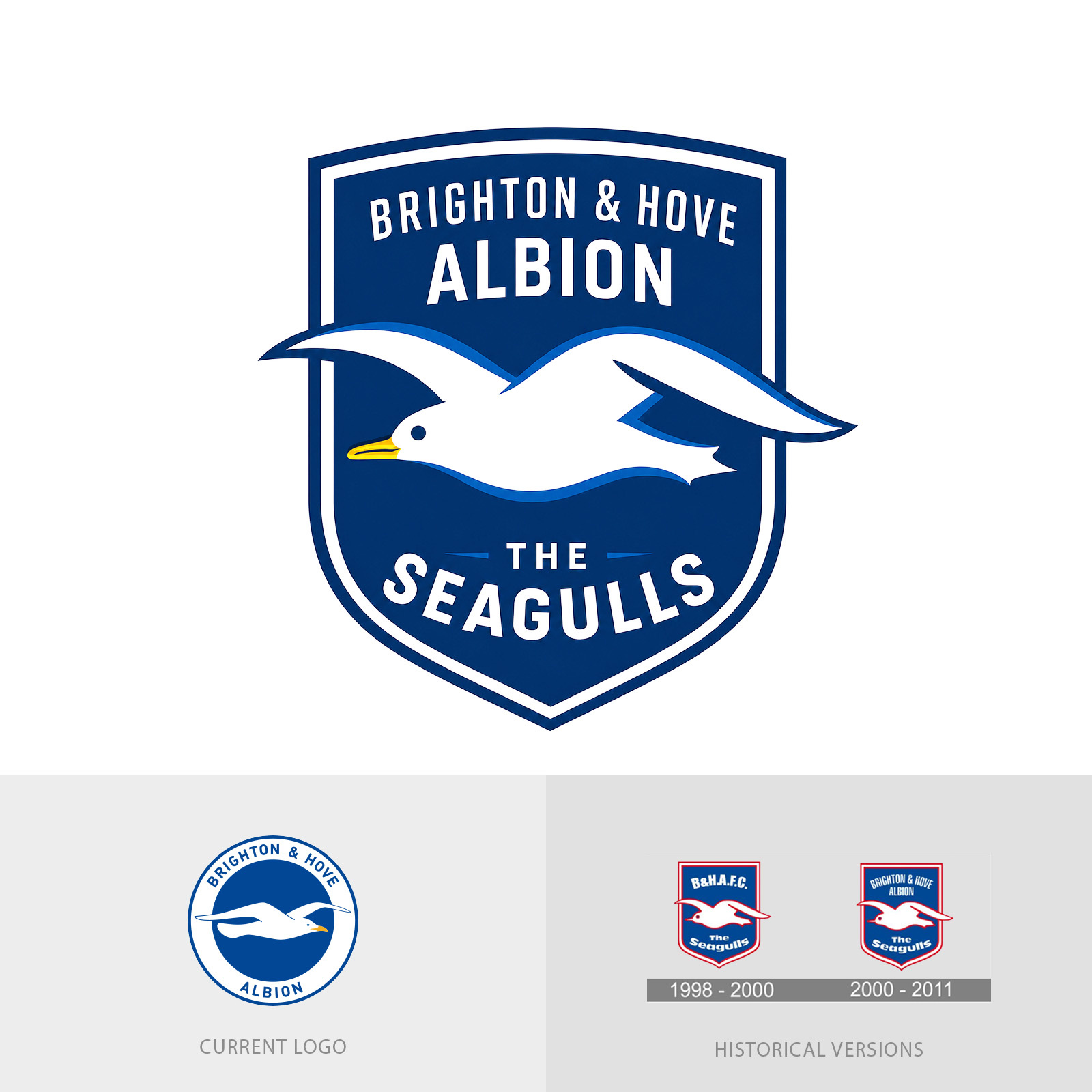 Brighton & Hove Albion FC new logo brighton and hove albion design brighton and hove albion logo brighton new logo logo design brighton and hove redesign brighton logo