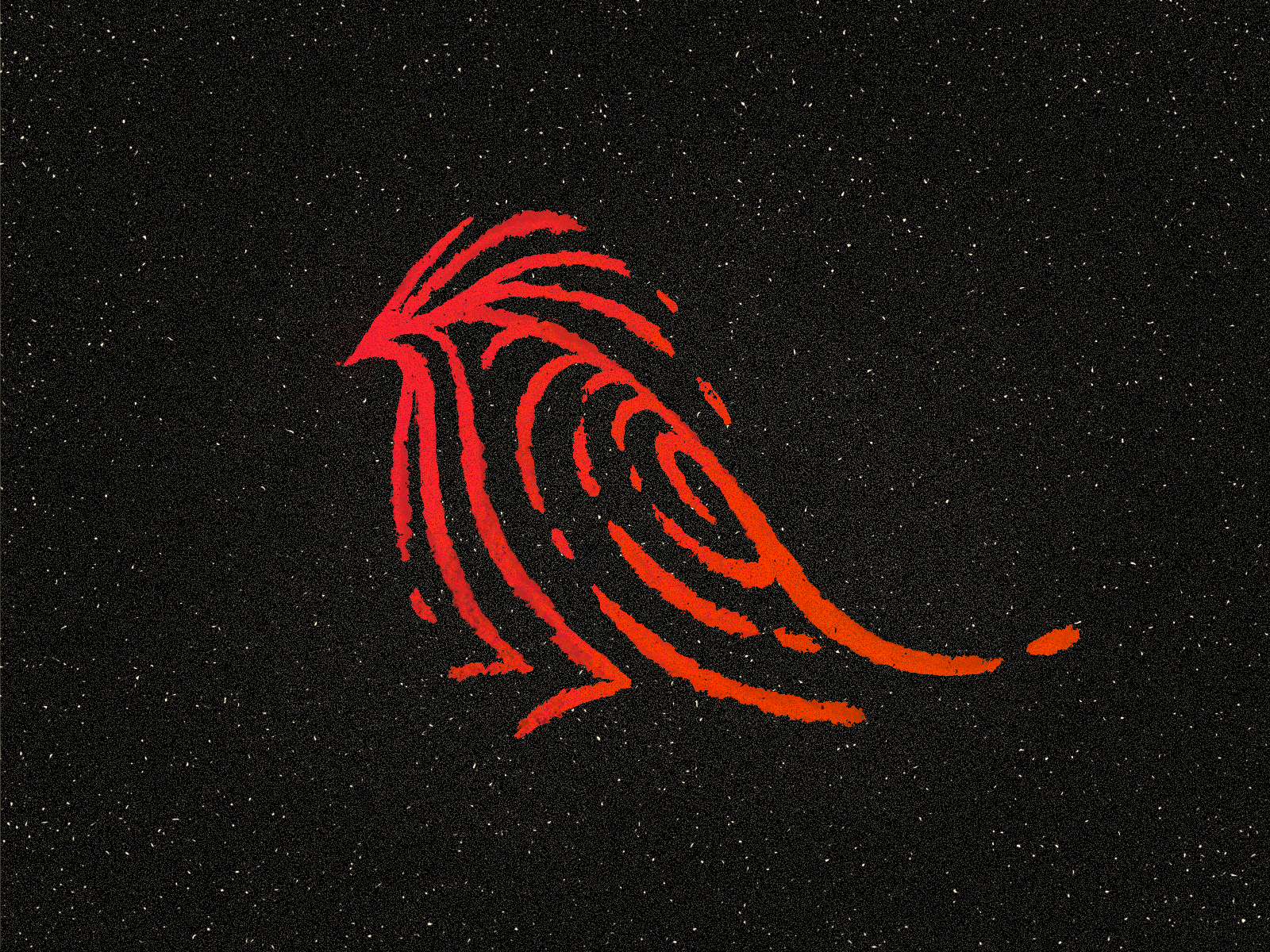 Birdometric ✦ Logo