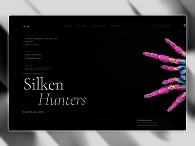 Immersive website - spider animation arachnida scroll spider vibecode webdesign website
