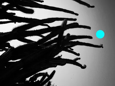 Use AI to Scout Before You Decide branding design graphic design identity minimal