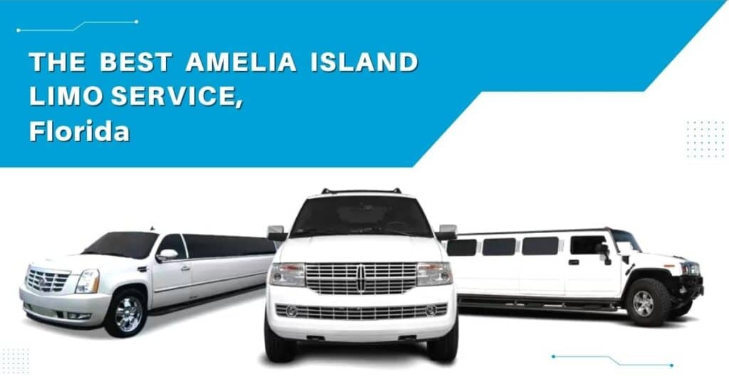 Limo Service For Amelia Island by Robin on Dribbble