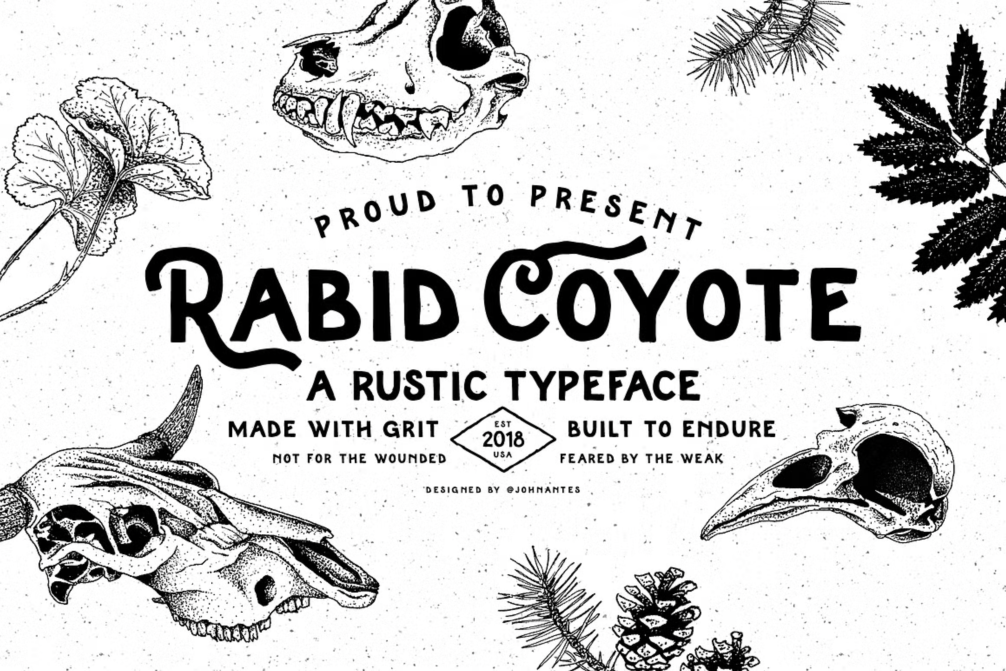 Rabid Coyote
