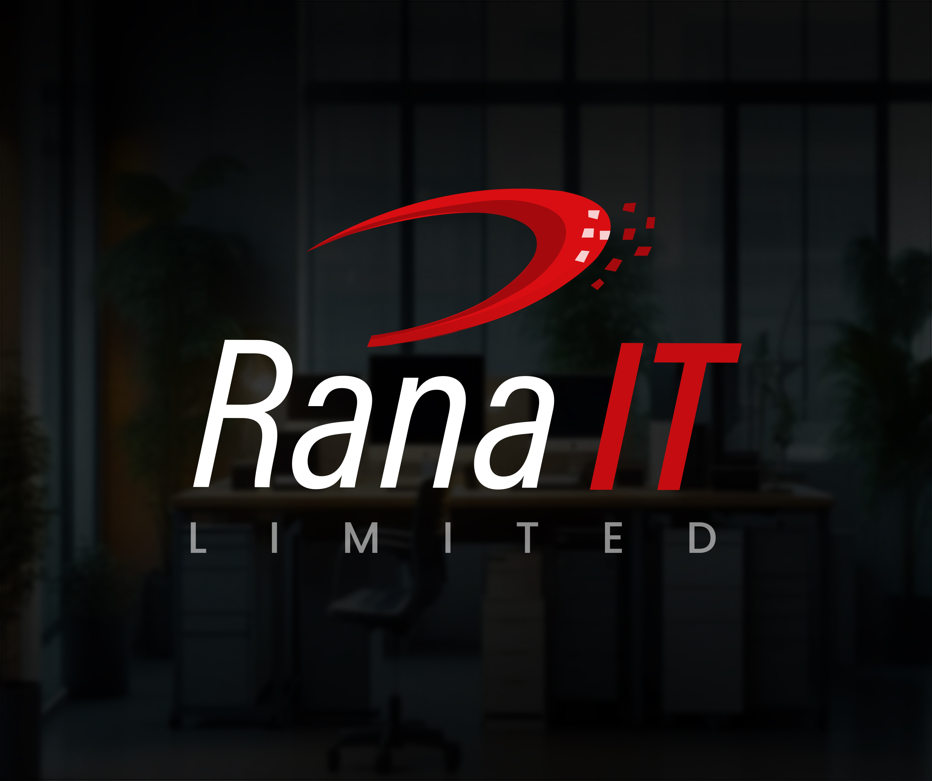 Logo Branding Rana IT LT branding guideline it logo ranaitlt tech company