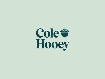 Cole Hooey Real Estate abstract branding graphic design identity illustration logo nature ui