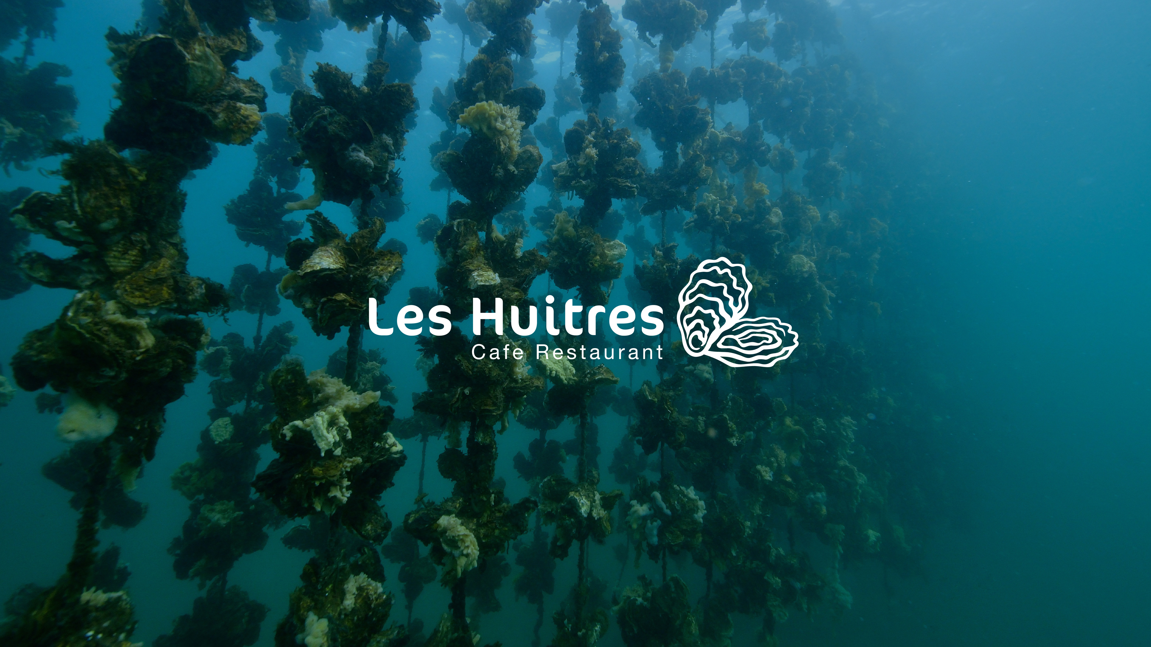 Restaurant Les Huitres - Branding branding graphic design logo