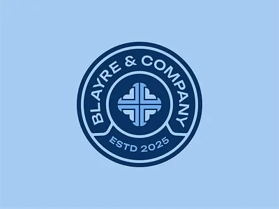 Blayre & Co Consulting Firm Branding advisory baby blue badge blue bold branding brand kit business consulting finance industry legal medtech partners real estate